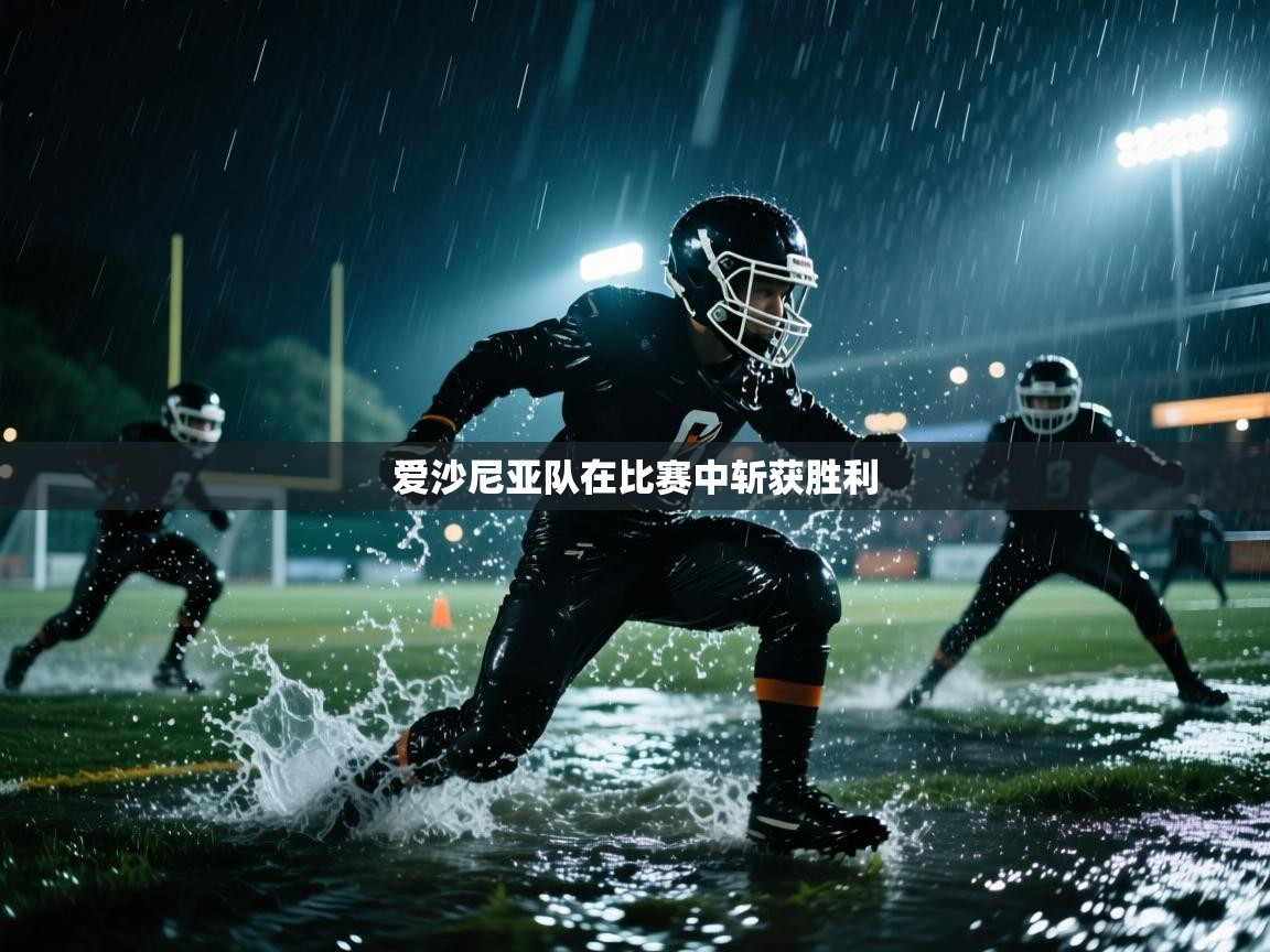 爱沙尼亚队在比赛中斩获胜利 第1张