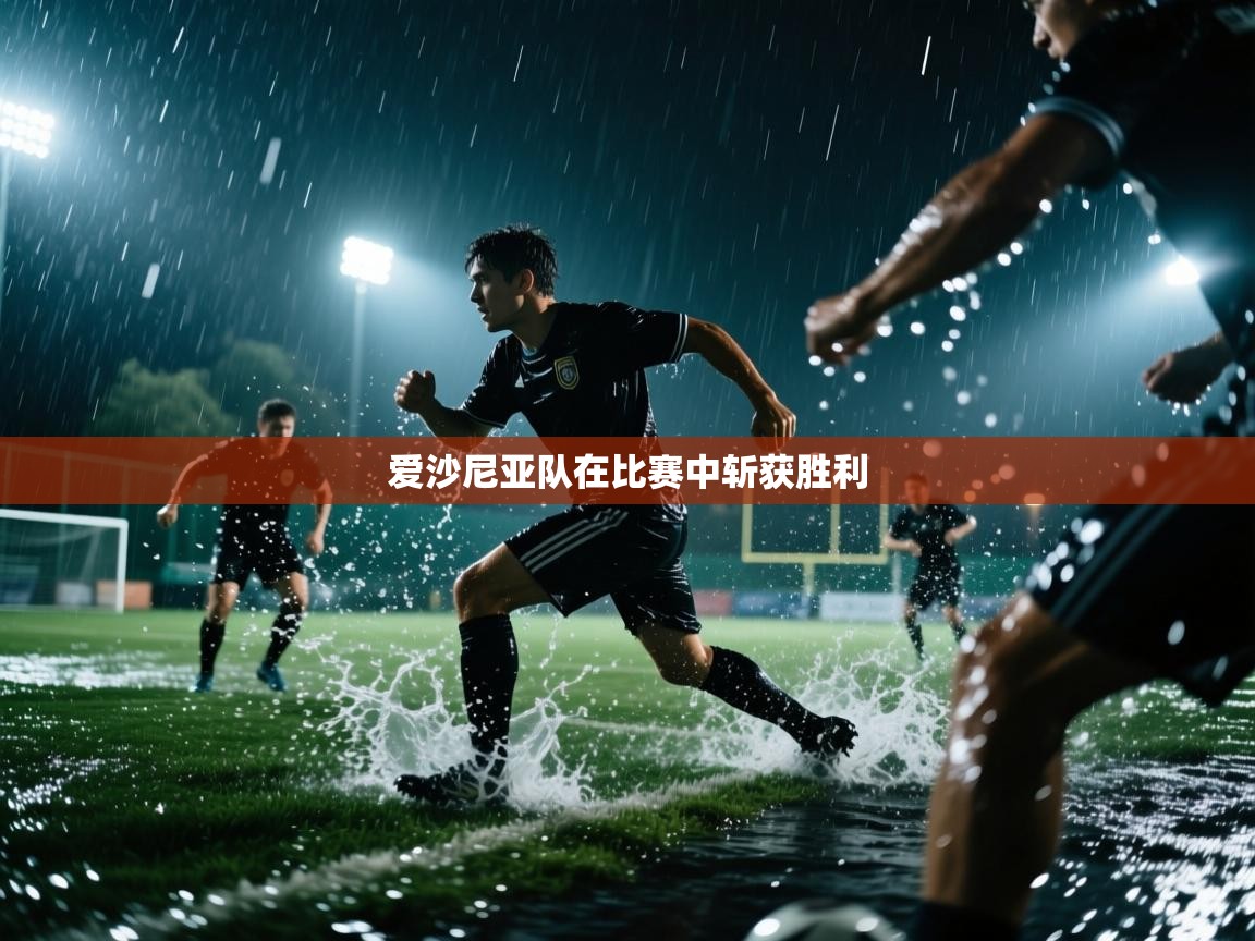 爱沙尼亚队在比赛中斩获胜利 第2张