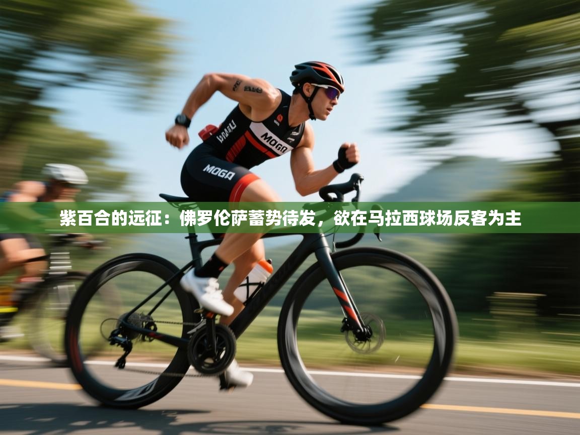 紫百合的远征：佛罗伦萨蓄势待发，欲在马拉西球场反客为主